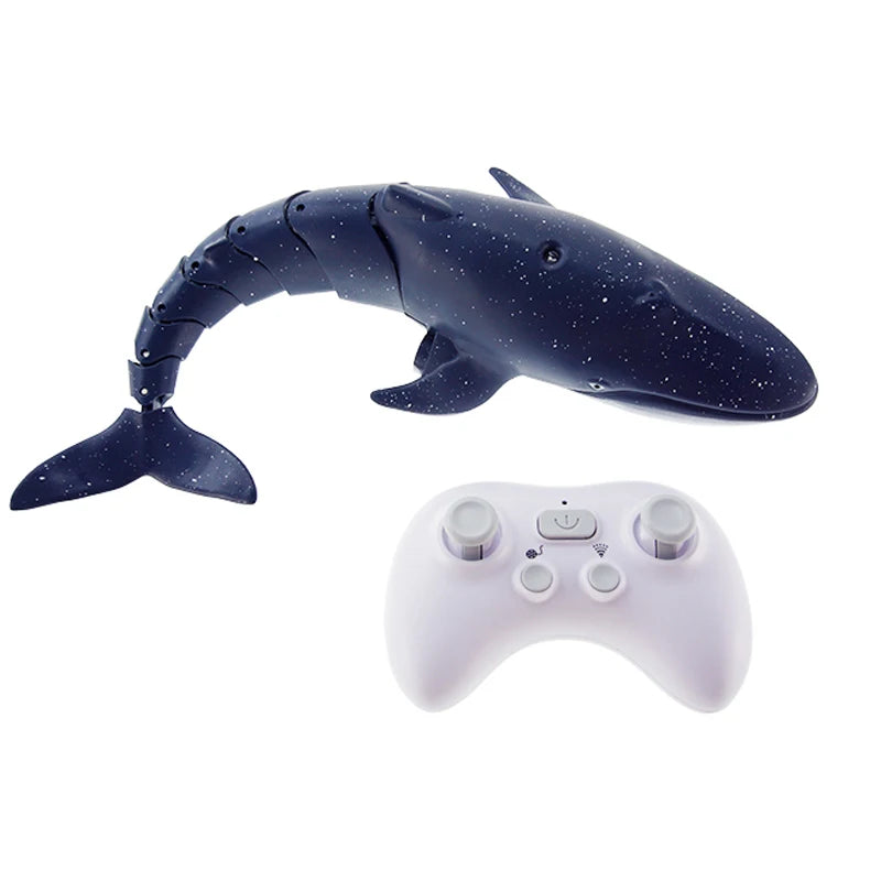 CONUSEA RC Shark